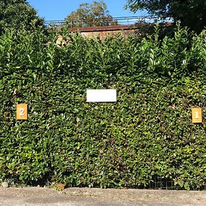 Casa Nonna Elide Appartamento